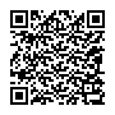 Codice QR per il numero di telefono +12095137338