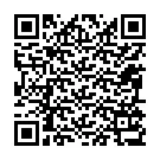 QR-code voor telefoonnummer +12095137647