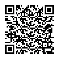 QR-код для номера телефона +12095137659