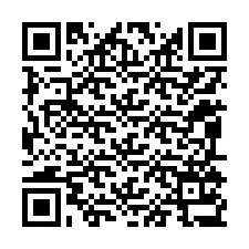 Código QR para número de teléfono +12095137660