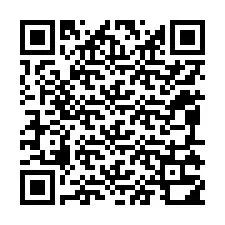 Codice QR per il numero di telefono +12095310000