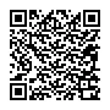 QR-code voor telefoonnummer +12095320313