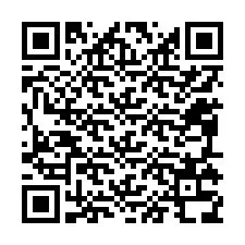 QR-code voor telefoonnummer +12095338503