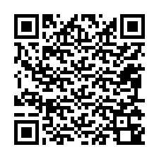 QR код за телефонен номер +12095340187