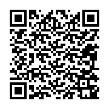 電話番号のQRコード +12095341337