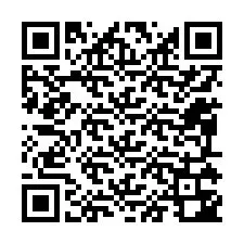 QR-code voor telefoonnummer +12095342027