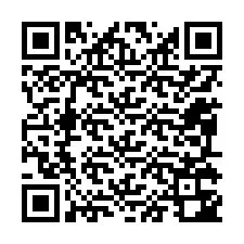 Codice QR per il numero di telefono +12095342937