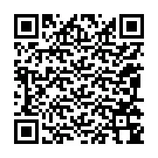 QR-код для номера телефона +12095344734