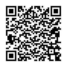 QR-код для номера телефона +12095348403