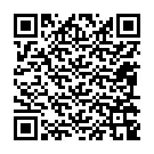 QR kód a telefonszámhoz +12095349997