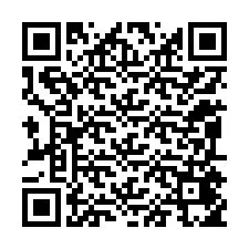 QR-код для номера телефона +12095455274