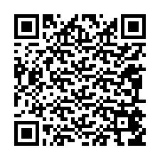 QR kód a telefonszámhoz +12095456432