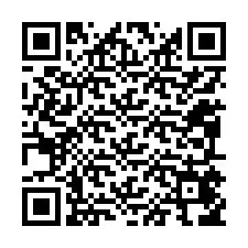 QR-код для номера телефона +12095456433