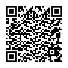 QR-код для номера телефона +12095456911