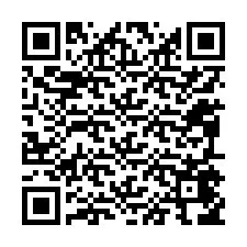 QR-code voor telefoonnummer +12095456913