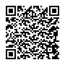 QR-код для номера телефона +12095456914