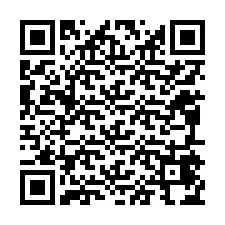 電話番号のQRコード +12095474802