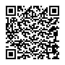 QR-код для номера телефона +12095474804