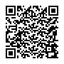 QR-код для номера телефона +12095492871