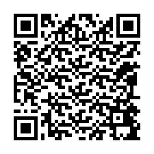 Codice QR per il numero di telefono +12095495269