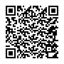 QR-koodi puhelinnumerolle +12095510637