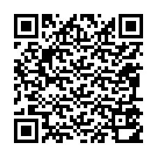 QR kód a telefonszámhoz +12095510846