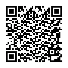 Código QR para número de telefone +12095512164