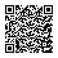 Código QR para número de teléfono +12095513205