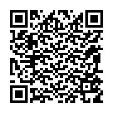 QR-code voor telefoonnummer +12095519351