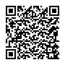 Código QR para número de telefone +12095541061