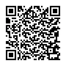 QR kód a telefonszámhoz +12095631104