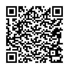 Codice QR per il numero di telefono +12095631347