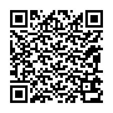 Codice QR per il numero di telefono +12095632031