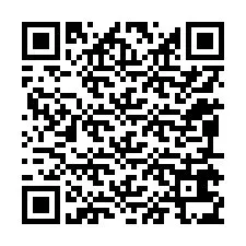 Código QR para número de teléfono +12095635884