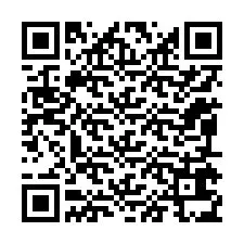 QR код за телефонен номер +12095635885