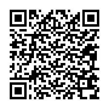 QR код за телефонен номер +12095638123