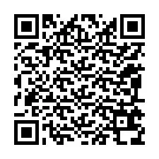 Codice QR per il numero di telefono +12095638434