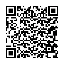 QR-code voor telefoonnummer +12095638435