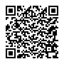 QR-Code für Telefonnummer +12095638615