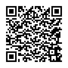 Código QR para número de telefone +12095641829