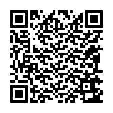 QR kód a telefonszámhoz +12095643939