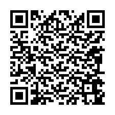 QR kód a telefonszámhoz +12095645996