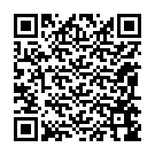 Código QR para número de telefone +12095646775