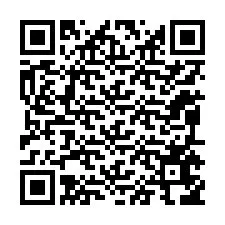 QR-код для номера телефона +12095656745