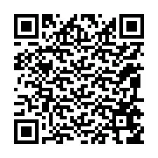 QR-код для номера телефона +12095656751