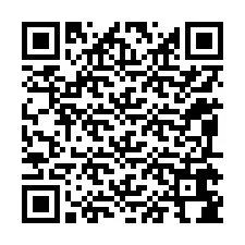 QR kód a telefonszámhoz +12095684860