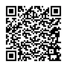 QR Code for Phone number +12095691653