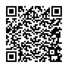 QR код за телефонен номер +12095691653