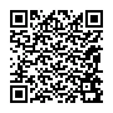 QR-код для номера телефона +12095691775