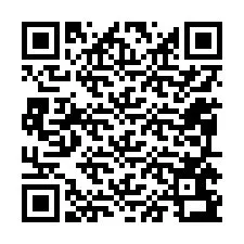 QR-код для номера телефона +12095693737